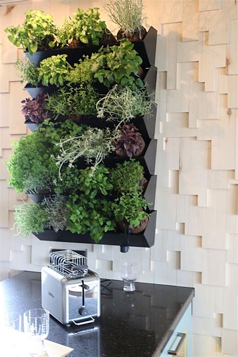 Herb Wall In The Kitchen Herb Wall Water Walls Kichen Black Kitchens