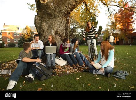 Group Of College Students Outdoors Studying Stock Photo Alamy
