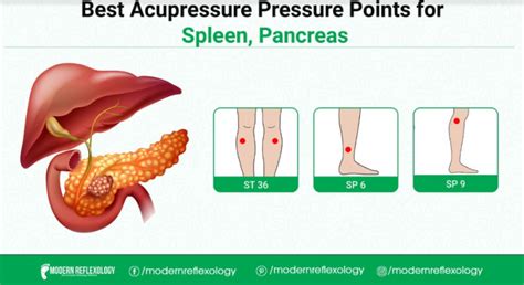 Best Acupressure Points For Treating Spleen Pancreas Modern Reflexology