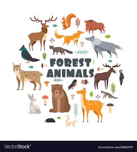 画像をダウンロード In Forest Animals 733738 Adaptation In Forest Animals