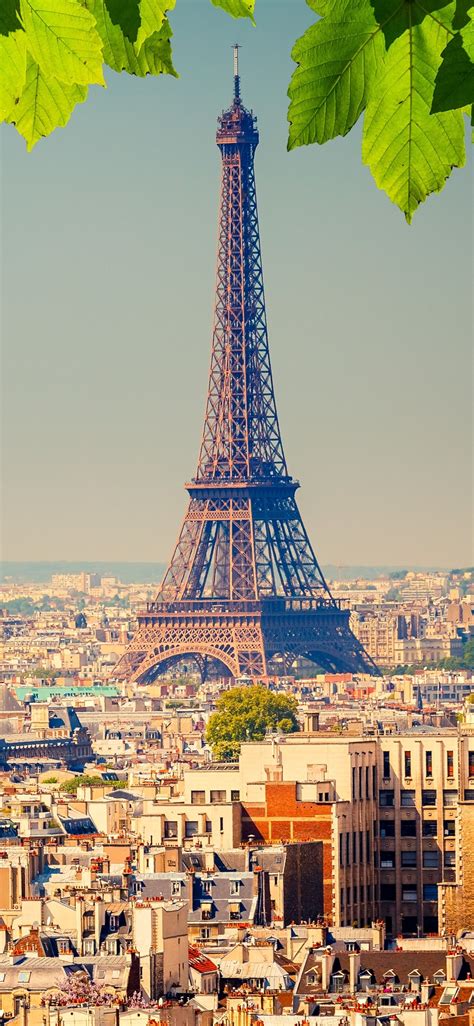 Eiffel Tower City Green Leaves Paris France 1125x2436 Iphone X