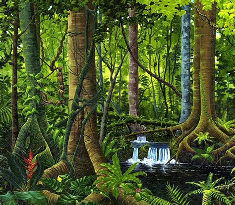 Rain Forest Drawing At Getdrawings Free Download