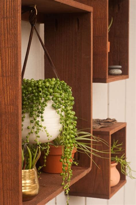 569 Best Images About Plants Indoor Hanging And Diy Pots