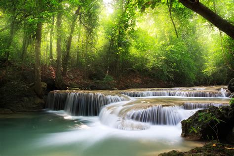 Waterfall Sea Lake Deep Forest Trees Sky Clouds Landscape Nature Beautiful Leaves Primeval