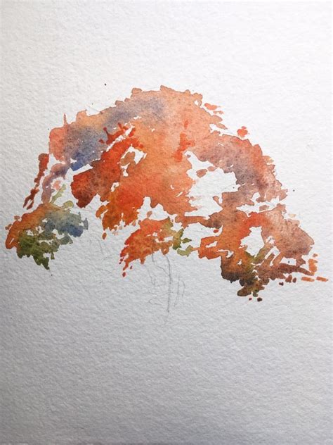 Painting A Japanese Maple In Watercolor Christopher P Jones Medium