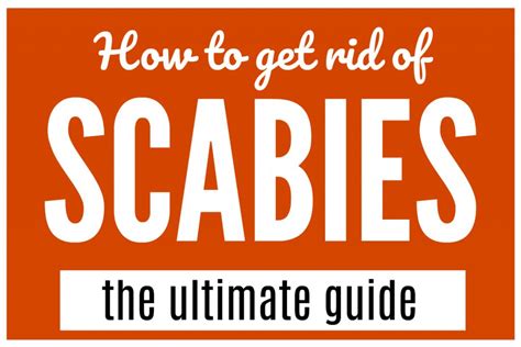 How To Get Rid Of Scabies The Ultimate Guide That Works Scabies Home