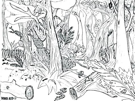 Rainforest Coloring Pages Printable