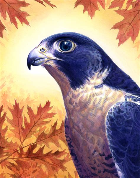 Falcon By Alanpaints On Deviantart