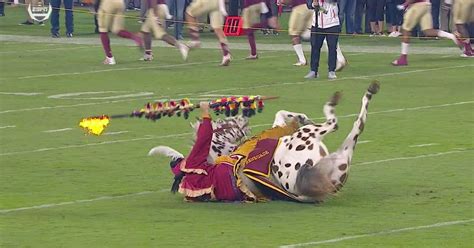 Jim Harbaugh Was Excited To See Fsus Horse But It Fell On The Field