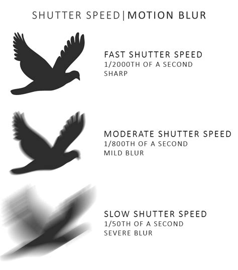 Shutter Speed And Aperture How They Work Together Silent Peak Photo