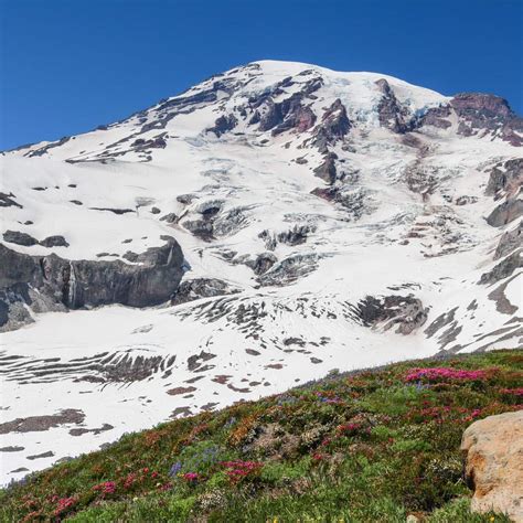 Skyline Trail Mount Rainier S Best Day Hike The National Parks Experience