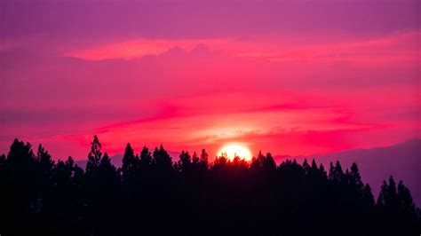 Download Wallpaper 1600x900 Sunset Sky Pink Trees Sun