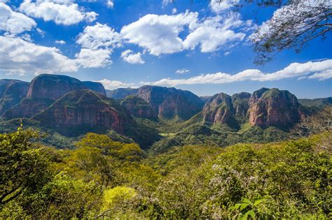 Ausgesucht vom team unseres reiseveranstalters chirimoyatours in lima der hauptstadt von peru. Amboro Nationalpark, Bolivien | Franks Travelbox