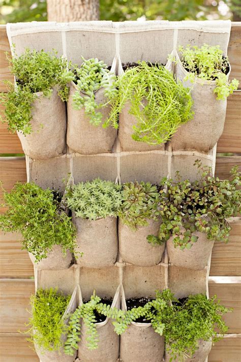 The Best Vertical Gardens To Diy Now Little House Of Four Creating