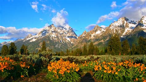 Springtime In The Mountains Hd Wallpaper Background