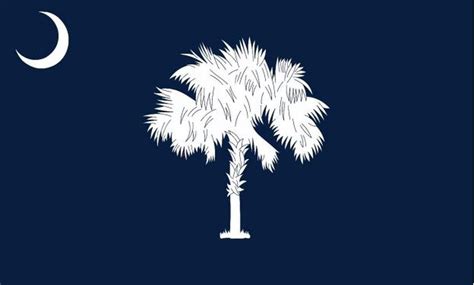 Palmetto Pride South Carolina State Flag Sparks Debate