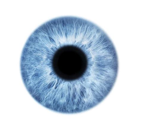 Blue Eye By Science Photo Library Eye Painting Eye Art Blue Eye Color