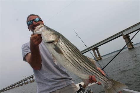 3 Striper Fishing Tips All Anglers Should Know Texas Fish And Game Magazine