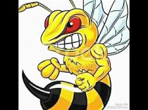 Gambar Lebah Xtc Keren - Gambar Keren