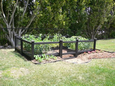 Vegetable Garden Fence Design Hawk Haven