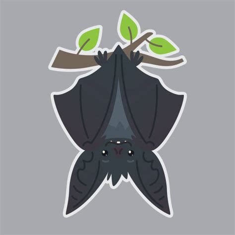 Bats Hanging Upside Down Pics Illustrations Royalty Free Vector