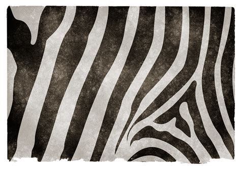 Zebra Striped Grunge Texture Grunge Textured Zebra Stripes Flickr