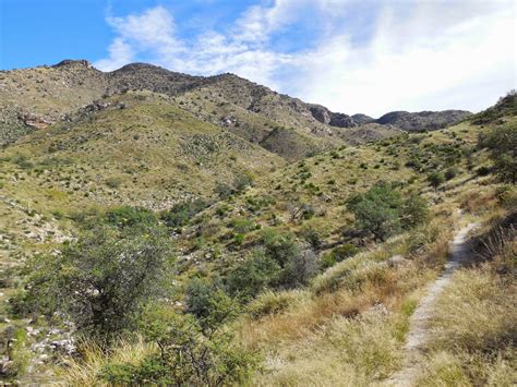 Another of falcon's splendid hiking guides. Exploring the American West: Sabino Canyon and Bear Canyon ...