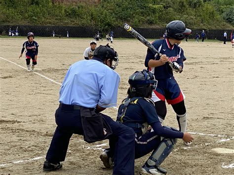 ルナソフト series name ダンジョンズレギオン author em. 宇津木妙子杯 第43回岡山県レディースソフトボール大会 | 一般 ...