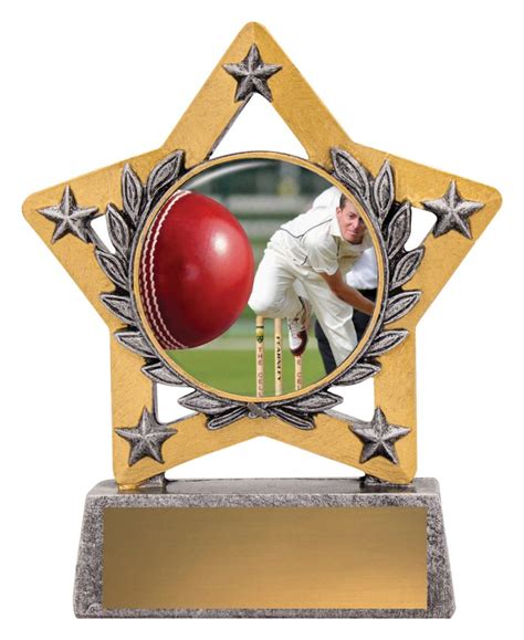Cricket Trophies Trophies For Distinction Cricket Medals And Awards