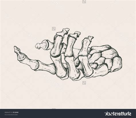 Check spelling or type a new query. Skeleton Hand Drawing | Art