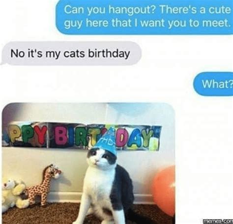 Caturday is finally here along with 26 amazing cat memes! 50 Cat Memes Hot And Fresh Out The Kitchen For Another ...
