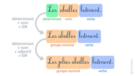 Les classes de mots dans le groupe nominal cours CE Français