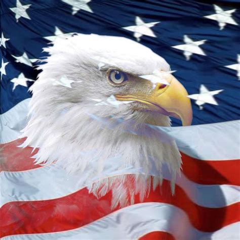 This picture from flags category. American Flag With Eagle Wallpaper (70+ images)