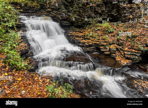 Mohican Falls A Beautiful Waterfall In Ganoga Glen At Pennsylvanias