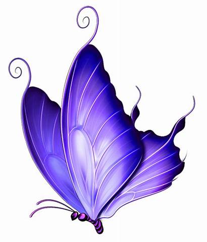 Butterfly Clipart Purple Transparent Background Clipground