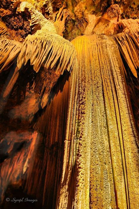 Golden Fall Luray Caverns Virginia Usa Luray Caverns Luray