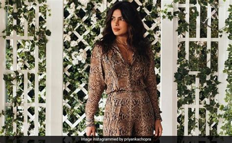 Priyanka Chopras Well Spent Weekend At Wimbledon With The Best Dates See Her Post