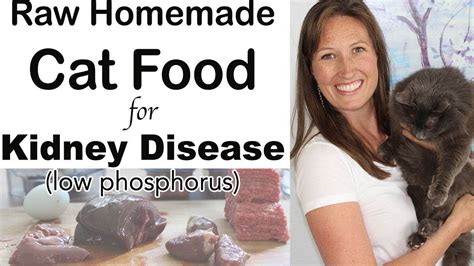 Research on fat content in cat diets indicates that some cats with gi problems such as chronic vomiting, chronic diarrhea, inflammatory bowel disease i really love homemade diets, says dr. Homemade Cat Food for Kidney Disease Diet (raw, easy ...