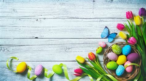 Easter Background Colorful Spring Tulips With Butterflies And P Stock