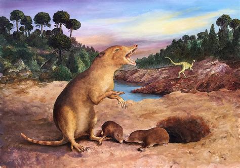 Earliest Known Mammal Is Identified Using Fossil Tooth Records