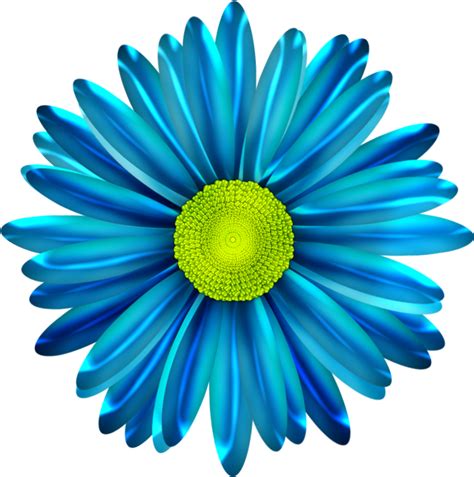 Blue Flower Clipart Blue Daisy Blue Daisy Flower Png Transparent Png