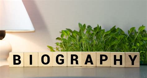 Biography Word Written On Wood Block Stock Image Image Of Profile