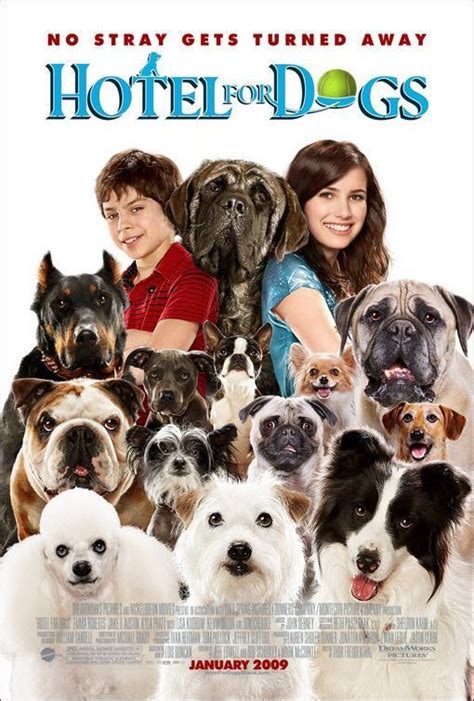 Hotel For Dogs 2009 Movie Reviews Cofca