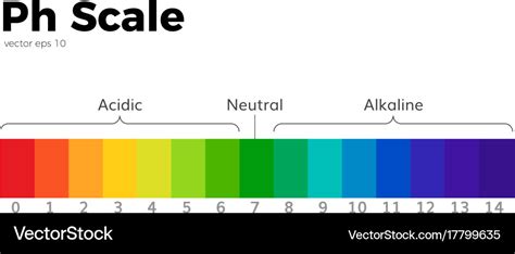 The Ph Scale Royalty Free Vector Image Vectorstock