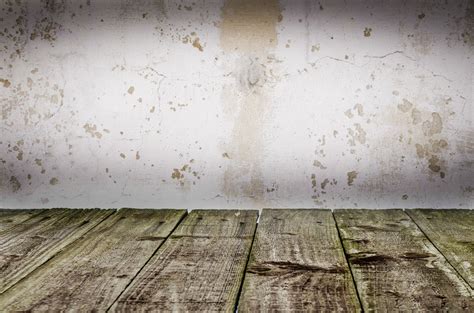 Free Images Light Abstract Wood White Texture Plank