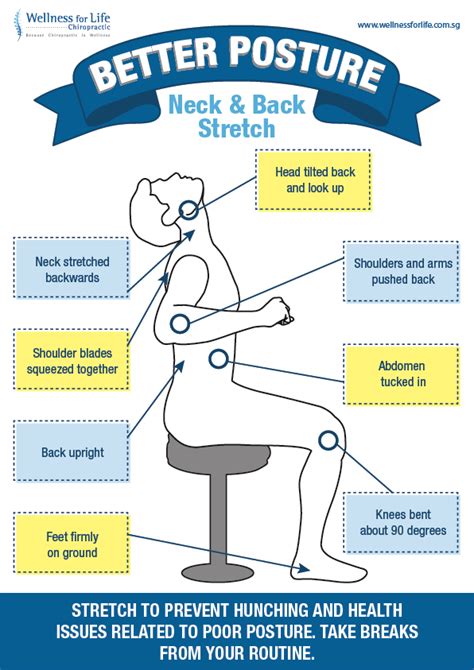 Wellness For Life Chiropractic Better Posture Stretch