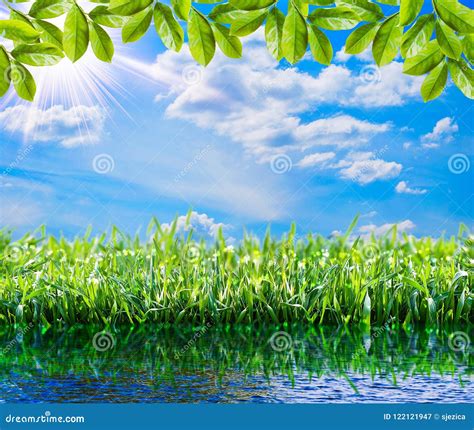 Grass And Water Stock Photography 1597994