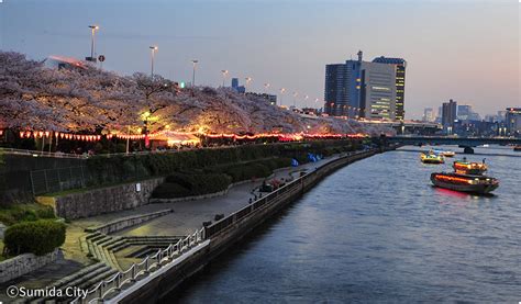 Tobu Spring Festival Enjoy Spring In Japan｜tobu Railway
