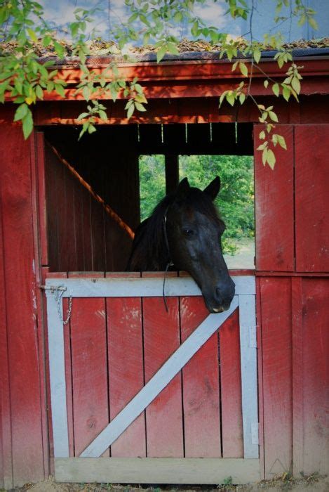 All of our prefabricated horse barns are constructed by experienced craftsmen under controlled conditions. Beautiful Red barn & beautiful horse! | Horses, Country ...