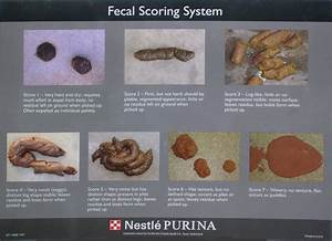 Fecal Scoring Chart By Nestle Purina Keep The Wagging